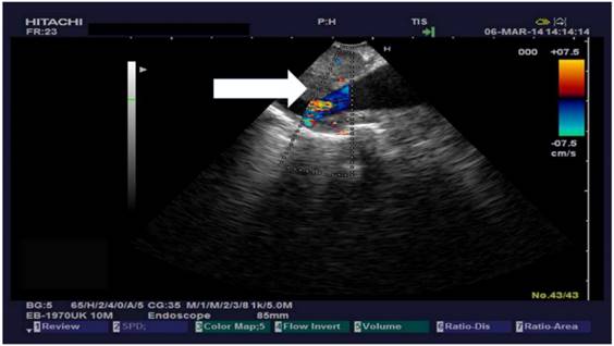 J Biomed Image