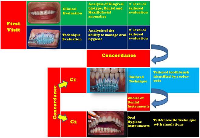 J Biomed Image