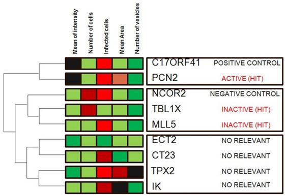 J Biomed Image