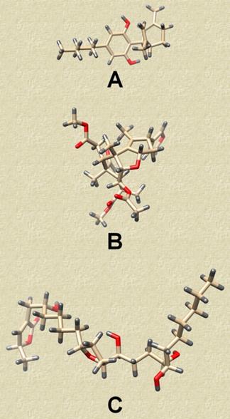 J Biomed Image