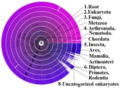 J Biomed Image