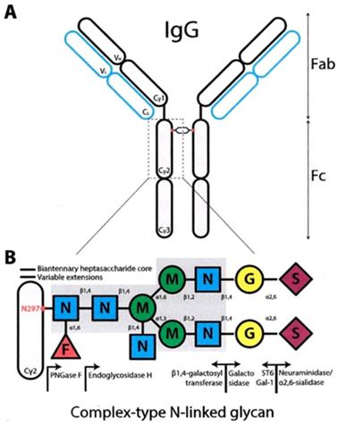 © Journal of Biomedicine Graphic abstract